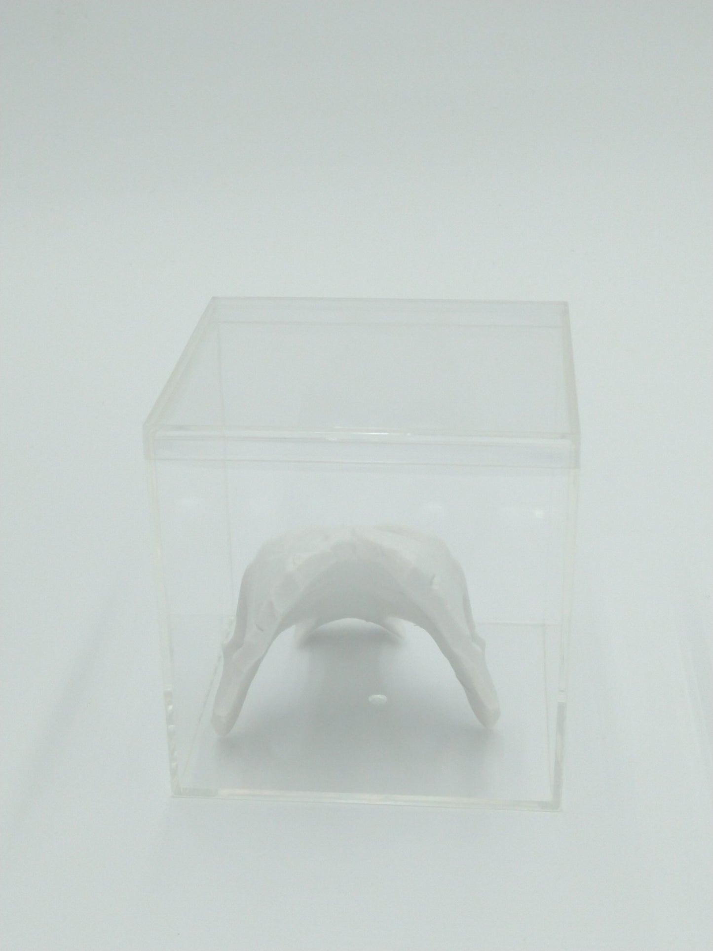Darksiders Death Mask Skull Miniature Collectible W/Display case 3d printed