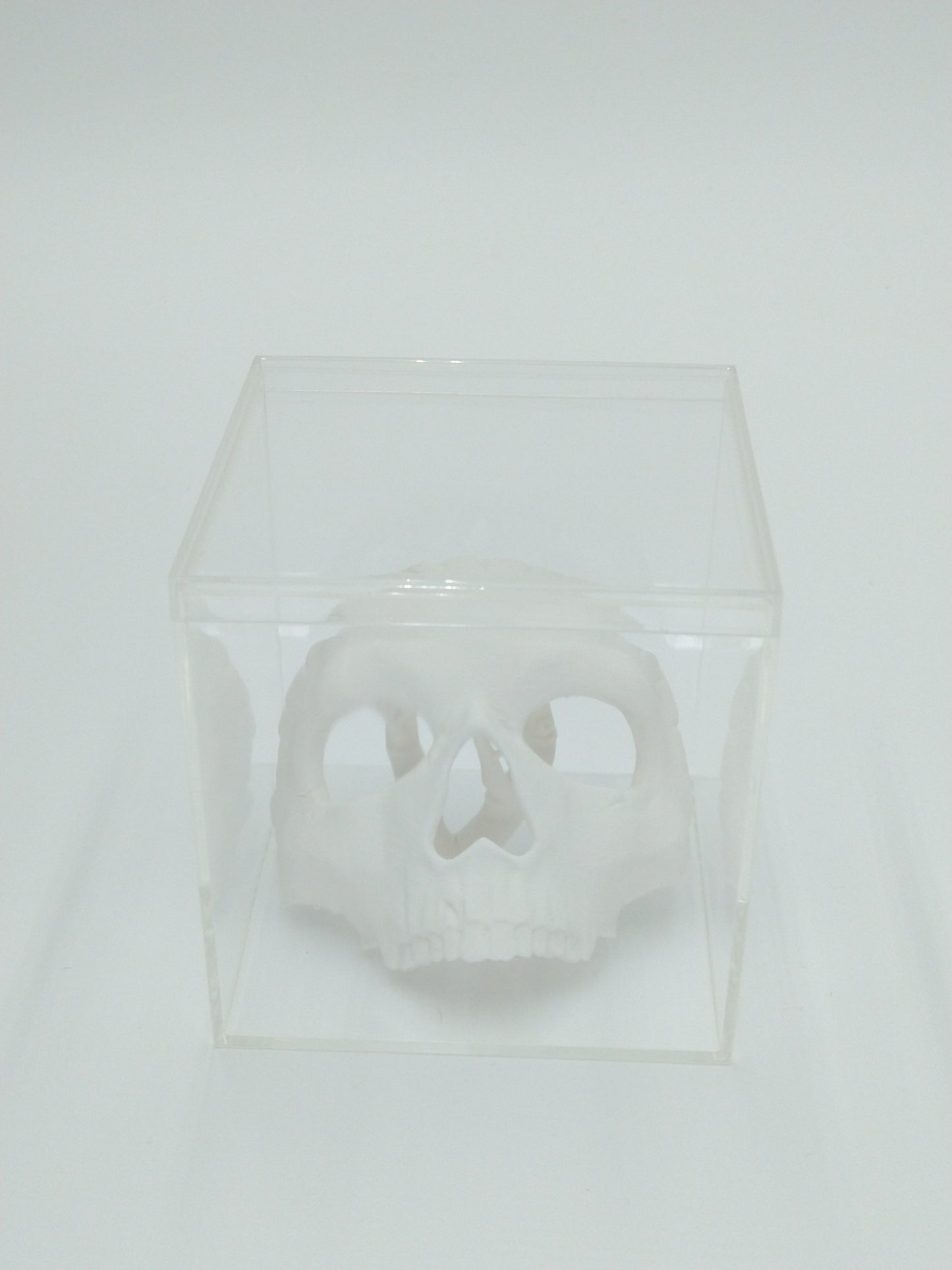 Call of Duty Ghost Mask Skull Miniature Collectible W/Display case 3" 3d printed