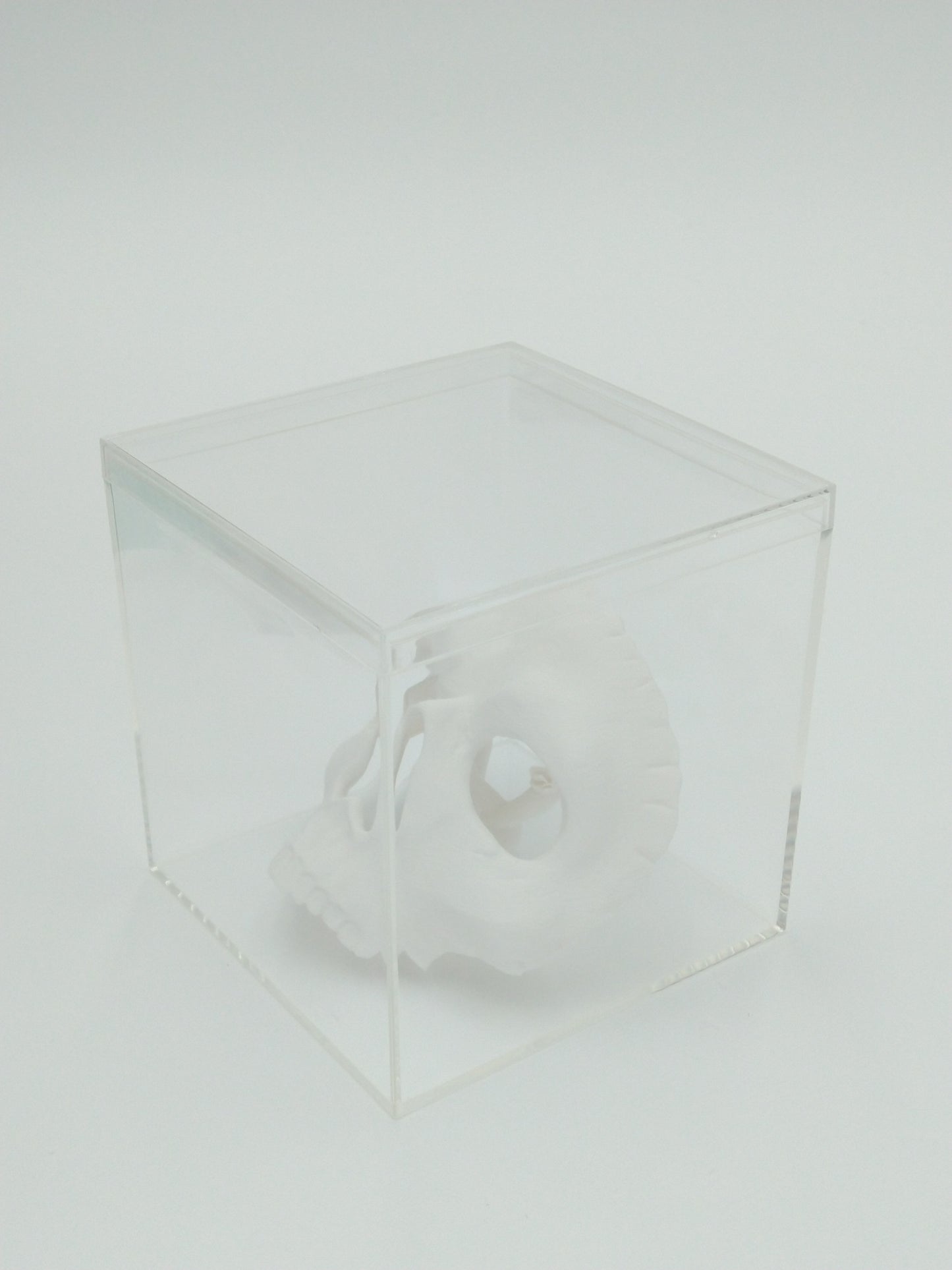 Call of Duty Ghost Mask Skull Miniature Collectible W/Display case 3" 3d printed
