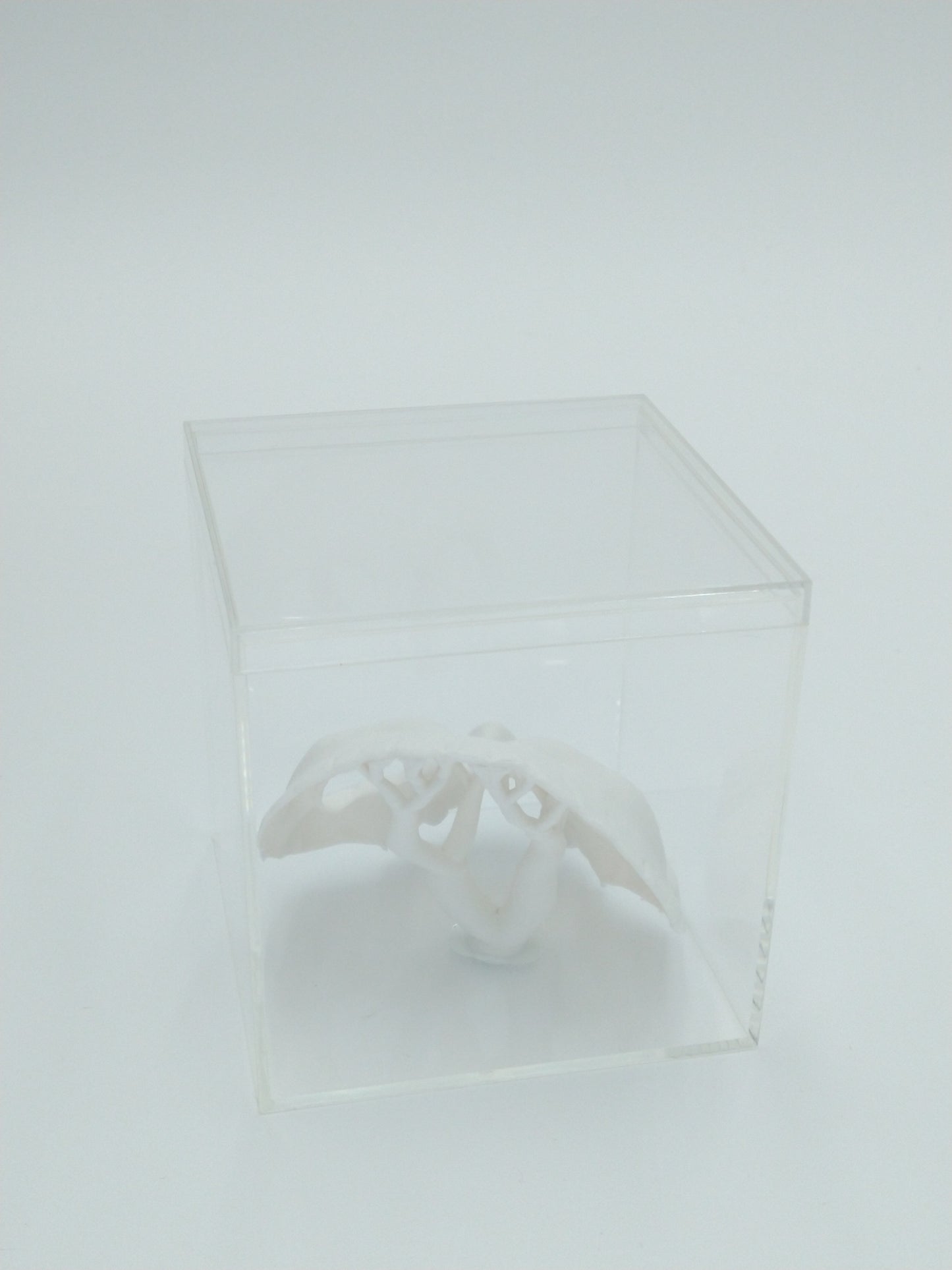 Call of Duty Ghost Mask Skull Miniature Collectible W/Display case 3" 3d printed