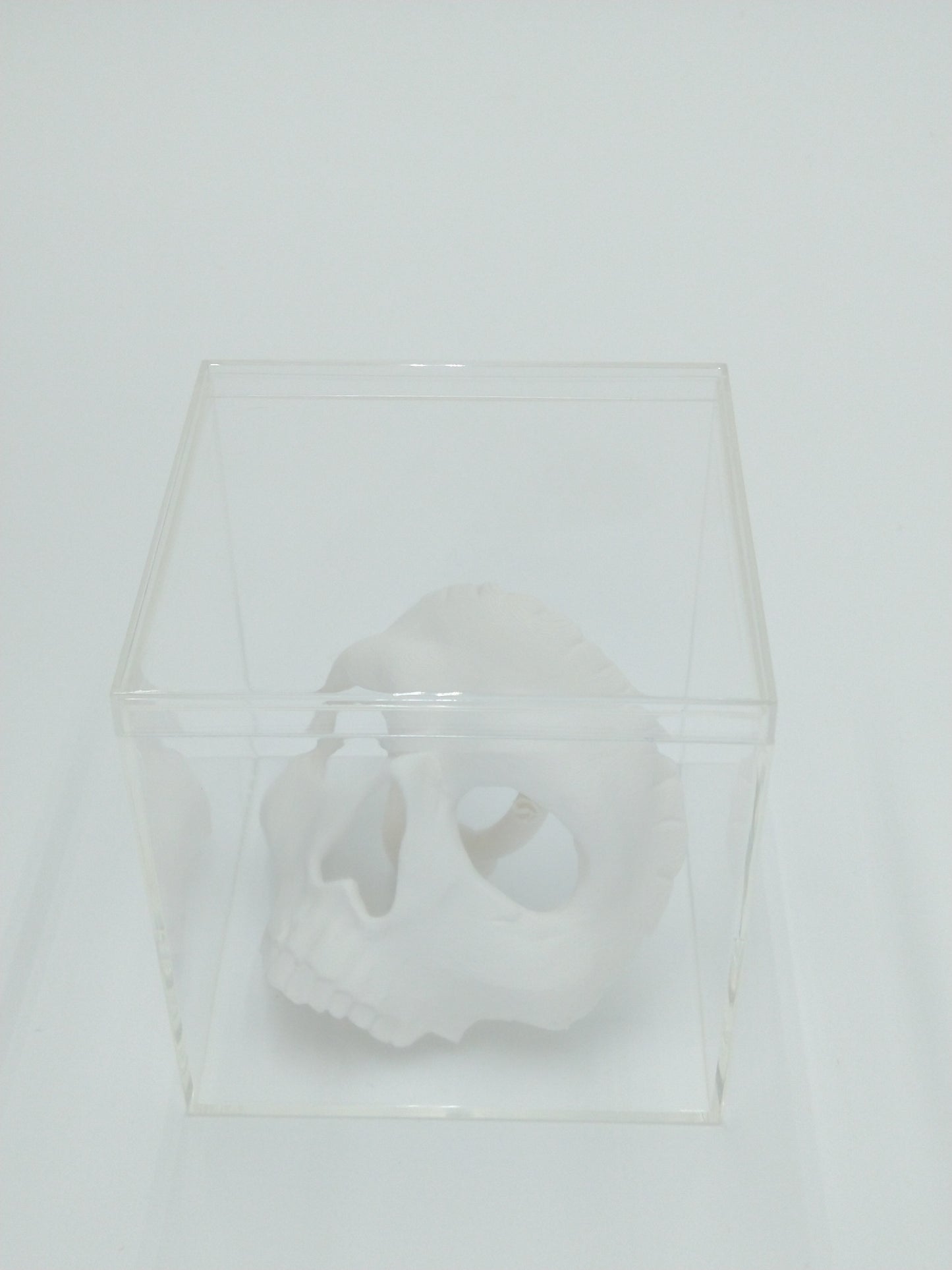 Call of Duty Ghost Mask Skull Miniature Collectible W/Display case 3" 3d printed