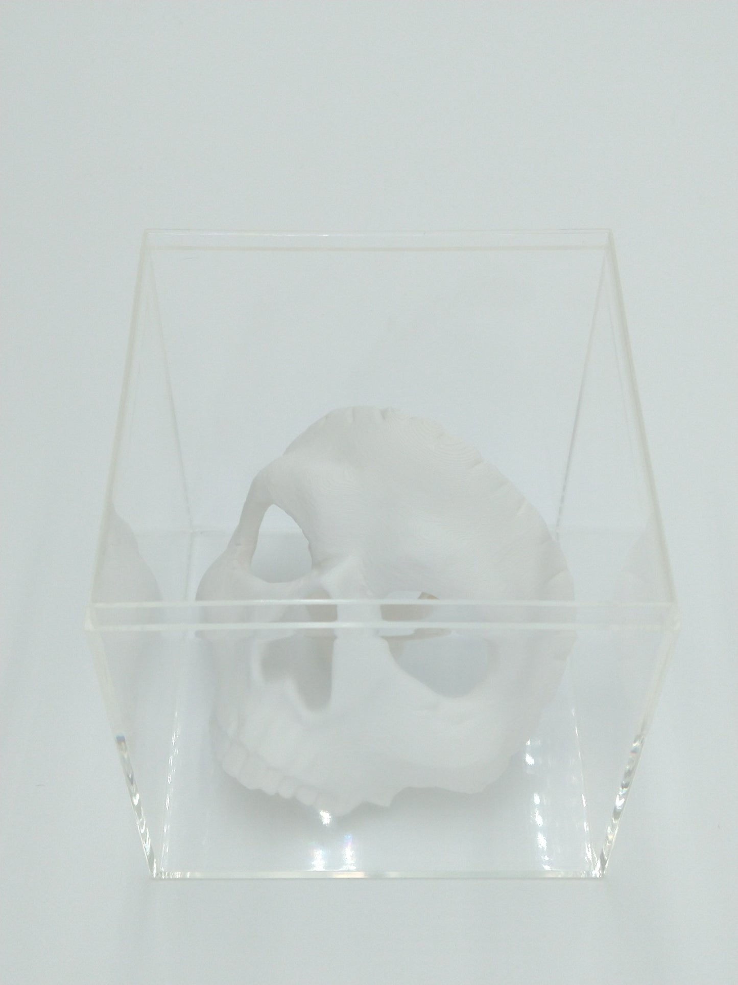 Call of Duty Ghost Mask Skull Miniature Collectible W/Display case 3" 3d printed